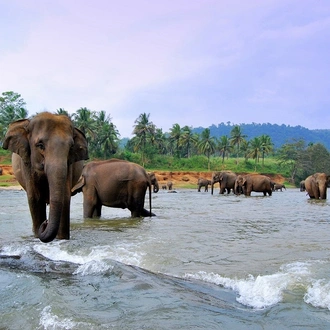 tourhub | Indus Travels | Wonders of Sri Lanka 