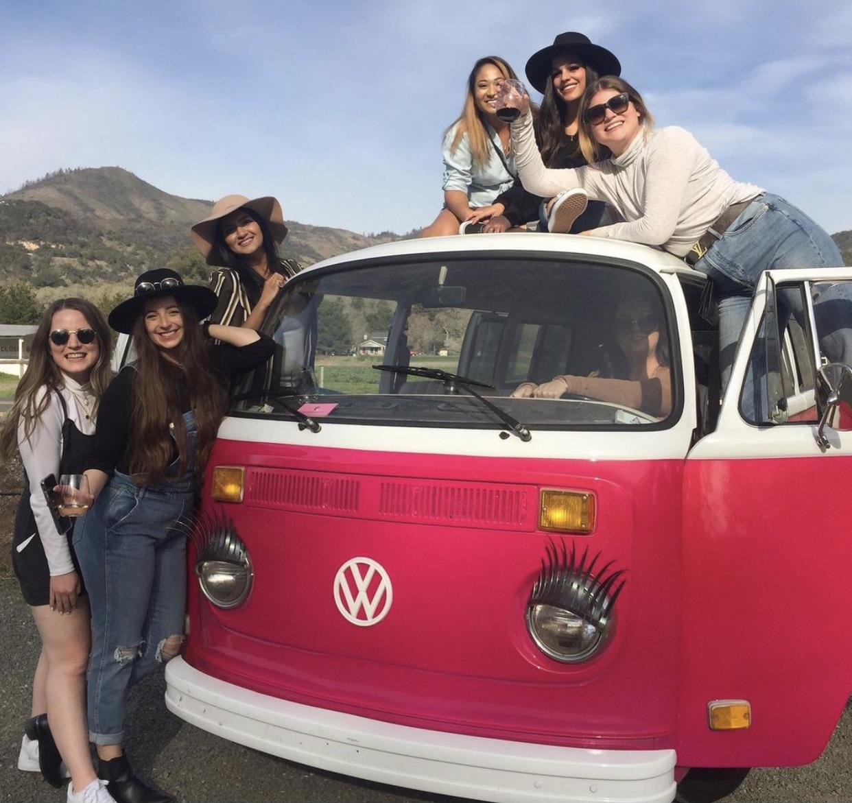 Insta-Worthy Wine Country Tour in Vintage VW Bus image 10