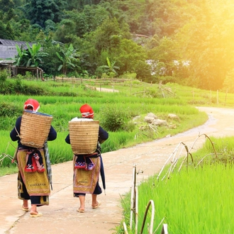 tourhub | CONNEK TRIP | 3-Day Adventure Explore Sapa: Hanoi - Fansipan - MOANA - Hanoi 