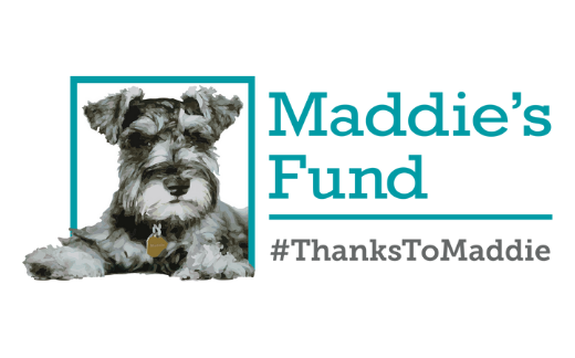 Proud Recipient of Funding from Maddie's Fund®