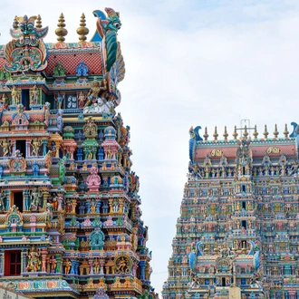 tourhub | Intrepid Travel | South India Revealed 