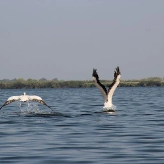 tourhub | Bike In Time | Danube Delta by Bike & Boat 