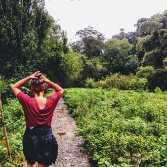 tourhub | Mr Linh's Adventures | 4-Day Jungle Trekking in Ba Be National Park 