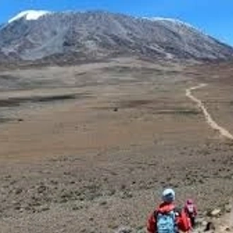 tourhub | Spider Tours And Safaris | 8 Days Kilimanjaro Climb Northern Circuit Route 