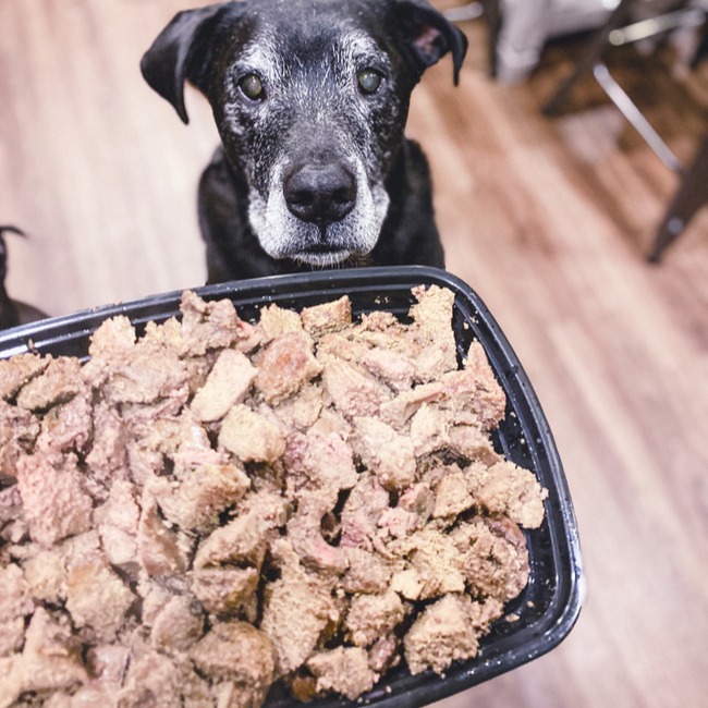 Can dogs clearance eat cooked liver