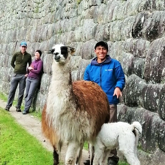 tourhub | TreXperience | Short Inca Trail 2 days hike to Machu Picchu 