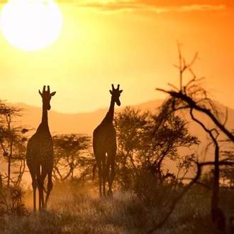 tourhub | Trafalgar | Wonders of Kenya with Zanzibar Island Escape 