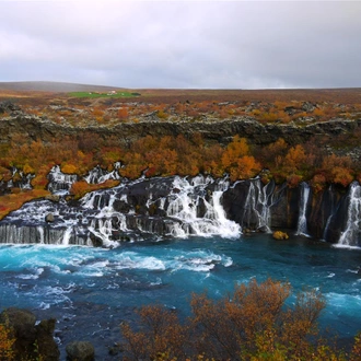 tourhub | Bamba Travel | Iceland Northern Lights Experience 2D/1N 