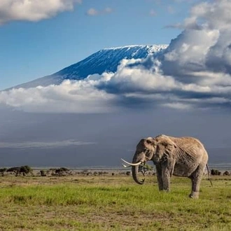 tourhub | Mbega African Safaris | 6 Days Kilimanjaro Climb Marangu Route 