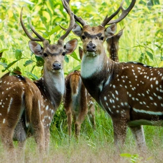 tourhub | Explore! | Discover Nepal 