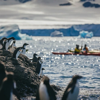 tourhub | Intrepid Travel | South Georgia and Antarctic Peninsula: Penguin Safari  