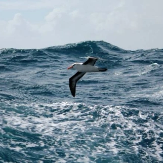 tourhub | World Expeditions | Beyond Fiordland: Wild Islands of New Zealand 