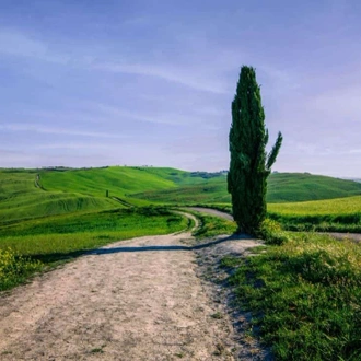 tourhub | Travel Department | Tuscany Walking Holiday 