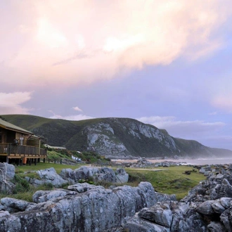 tourhub | ATC South Africa | Cape Town with Garden Route and Vineyards, Private tour 