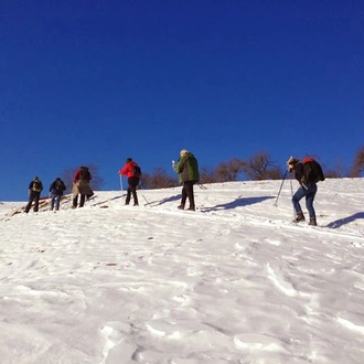 tourhub | Exodus Adventure Travels | Transylvania Winter Walk & Snowshoe 