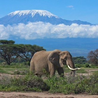 tourhub | ARP Travel Group | East African Explorer, Keekorok and Serena Lodges (Multi country) 