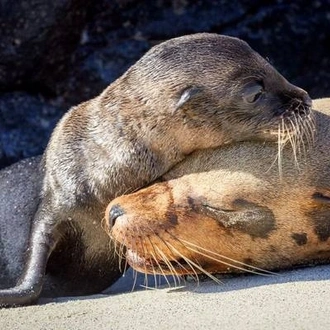 tourhub | Ecuador Galapagos Travels | 4 Days Magic of Santa Cruz 