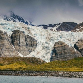 tourhub | Intrepid Travel | South Georgia and Antarctic Peninsula: Penguin Safari  