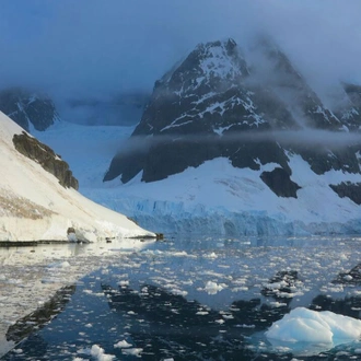 tourhub | Intrepid Travel | Best of Antarctica: Whale Journey (Ocean Endeavour)  