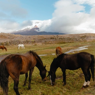 tourhub | Culture Trip | Adventurous Ecuador 