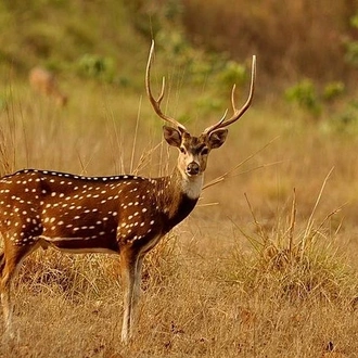 tourhub | Liberty Holidays |  3 Days Koshi Tappu Wildlife Reserve Tour from Kathmandu 