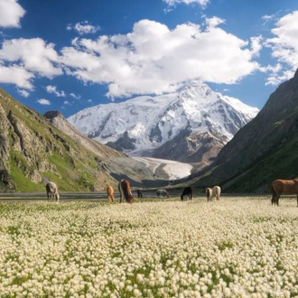 tourhub | Intrepid Travel | Premium Kazakhstan and Kyrgyzstan 