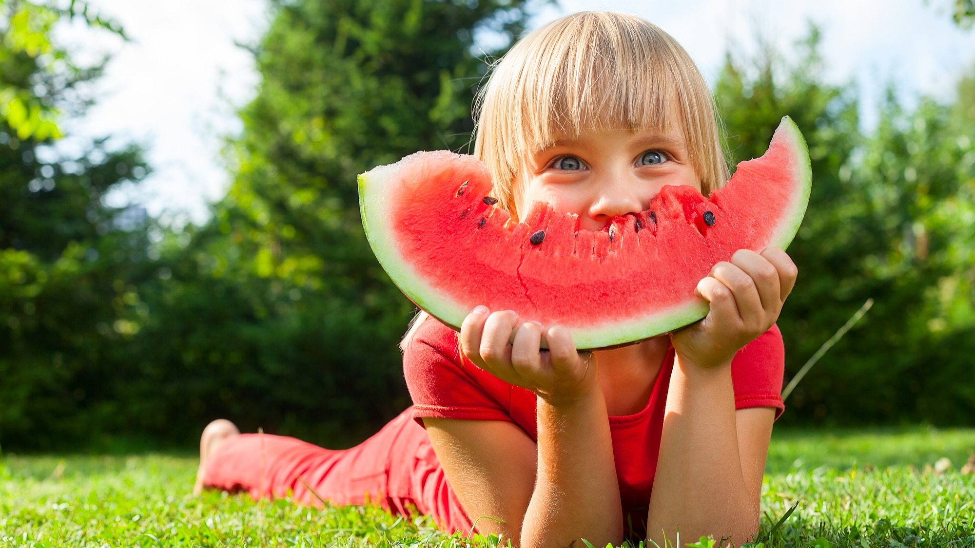 Représentation de la formation : Accompagnement des enfants ayant des allergies alimentaires