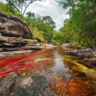 tourhub | Today Voyages | EN Xperience Colombia & Caño Cristales FIT 