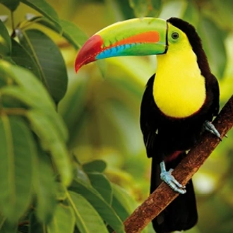 tourhub | Saga Holidays | Costa Rica - The Jewel of Central America 