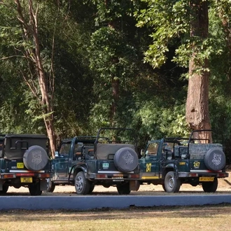 tourhub | Exodus Adventure Travels | India Tiger Safari 