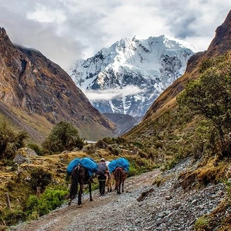 tourhub | Bamba Travel | Salkantay Trek to Machu Picchu 4D/3N 