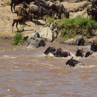 tourhub | Widerange African Safaris | Best 6 days Serengeti Migration Mara River Safari Tour Packages 