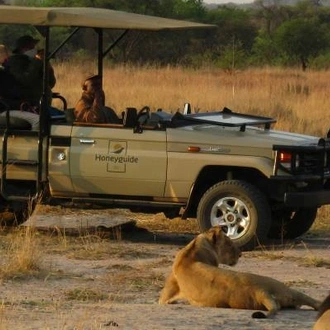 tourhub | On The Go Tours | Safari in South Africa - 8 days 