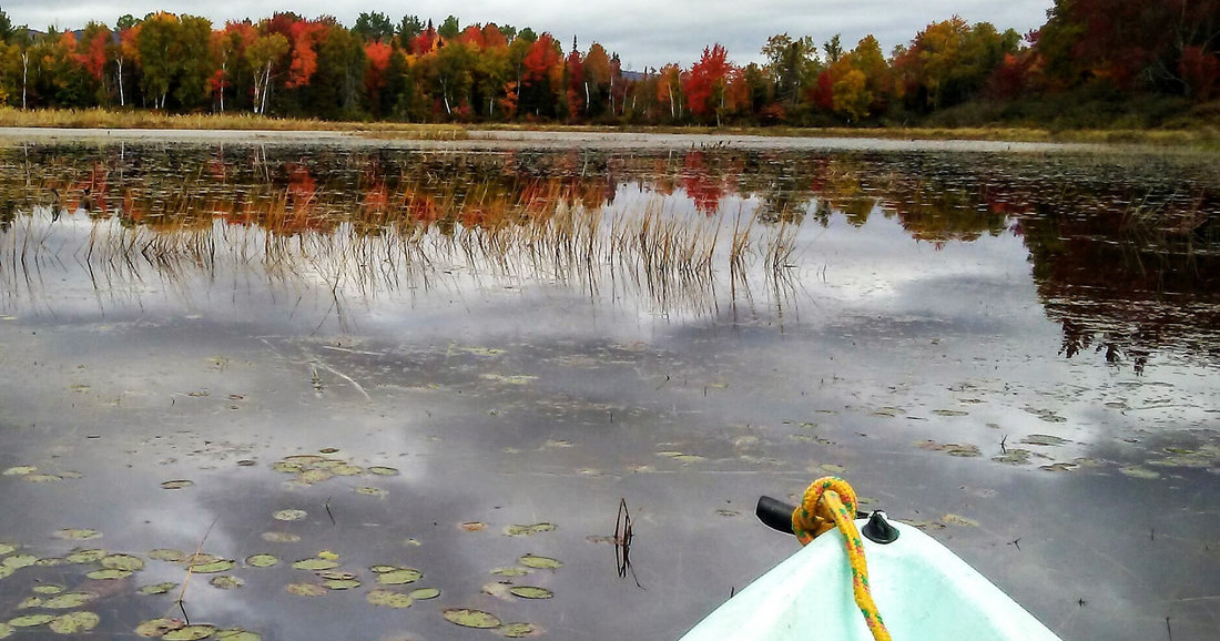 Full Day Canoeing and Kayaking Tour/Lesson