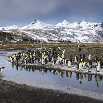 tourhub | Aurora Expeditions | In Shackleton's Footsteps 