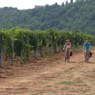 tourhub | Exodus Adventure Travels | Secrets of San Gimignano Cycling 