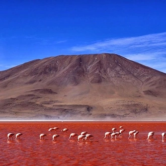 tourhub | Signature DMC | 6-Days Discovering 2 of the World's Largest Salt Flats, Atacama & Uyuni  