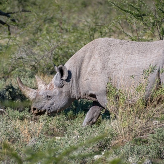 tourhub | Exodus Adventure Travels | Discover Namibia - Lodges 