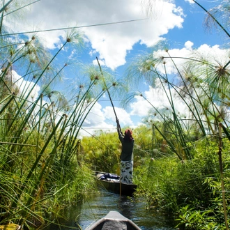 tourhub | Exodus Adventure Travels | Wildlife & Wilderness of Botswana 