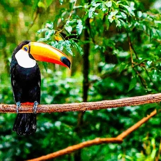 tourhub | Signature DMC | Unique Amazon Sustaintable Comunities Encounter in Ecuador 