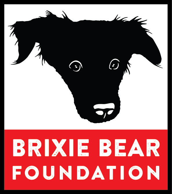 The Brixie Bear Foundation logo