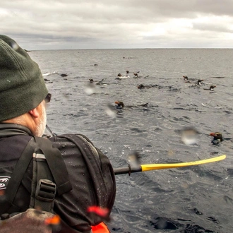 tourhub | Heritage Expeditions | Galapagos of the Southern Ocean 