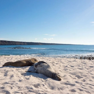 tourhub | Ecuador Galapagos Travels | 8 Days Galápagos Island Hopping Adventure: Wildlife & Wonders 