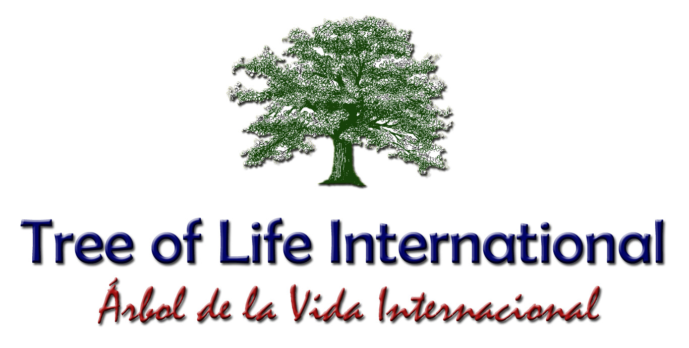 Tree of Life International Inc logo