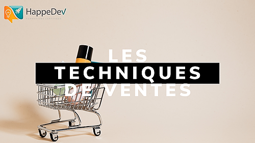 Représentation de la formation : LES TECHNIQUES DE VENTES : Personnalisation de l'acte de vente