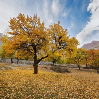 tourhub | Gypsy Traces and Tours | Premium Hunza Skardu Sightseeing Tour 