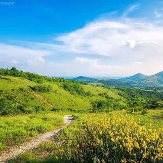 tourhub | Exodus Adventure Travels | Walking in the Venetian Hills 