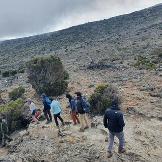 tourhub | Horizon Seeker Adventure | 6 days Kilimanjaro Climbing Umbwe route 