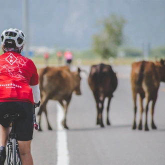 tourhub | SpiceRoads Cycling | Road Cycling Bangkok to Phuket 