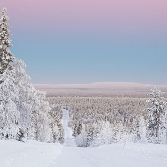 tourhub | Nordic Unique Travels | 5-Day Wild Lapland Experience 